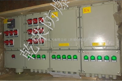 专业智造，安全可靠 选择值得信赖的BXMD51系列防爆照明（动力）配电箱生产厂家